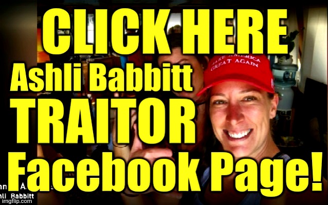 Ashli Babbitt Traitor Facebook Page