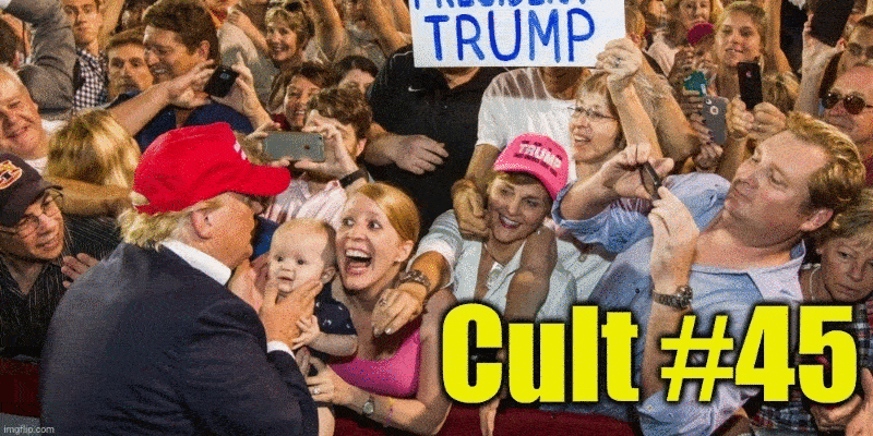 Donald Trump's support base is a Cult.