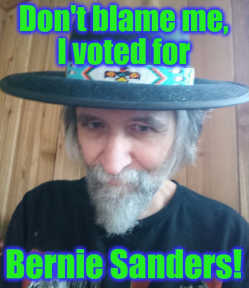 Don't blame me, I voted for Bernie Sanders!
