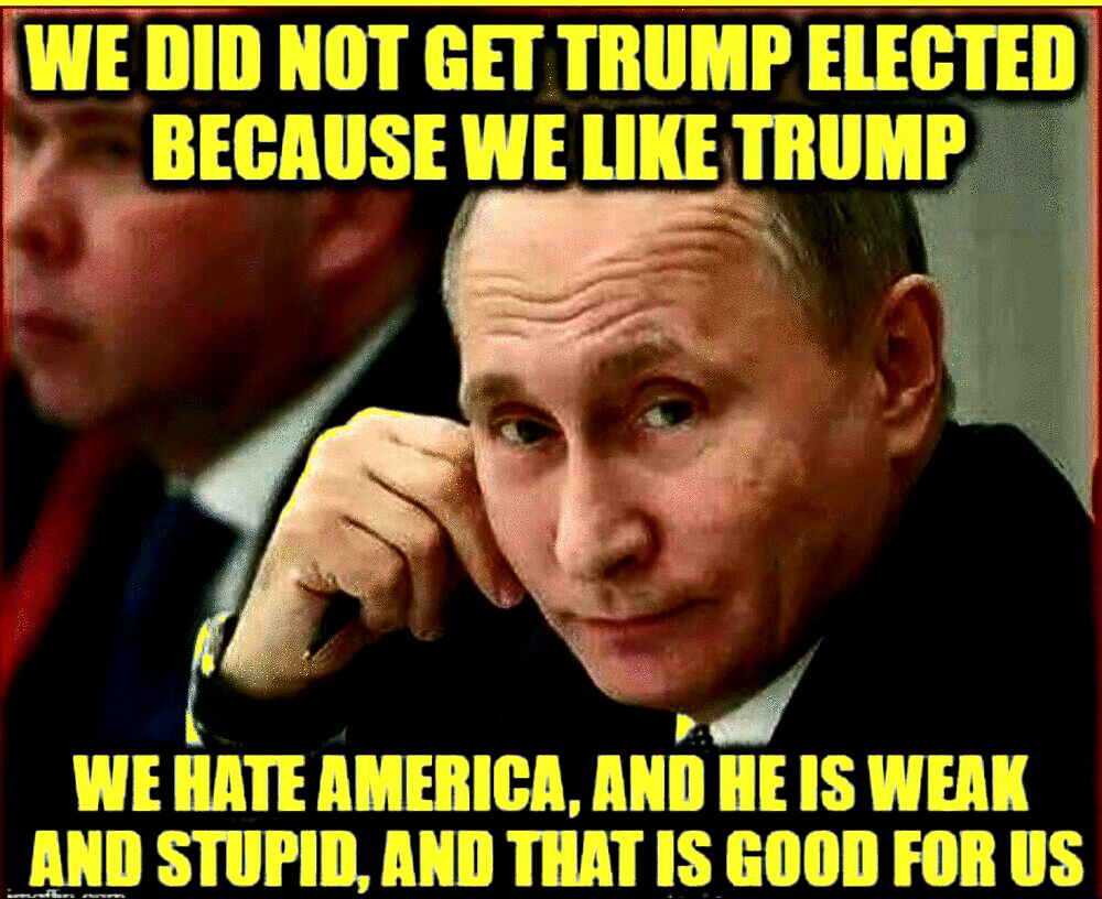 Putin got Trump elected because Trump is STUPID!